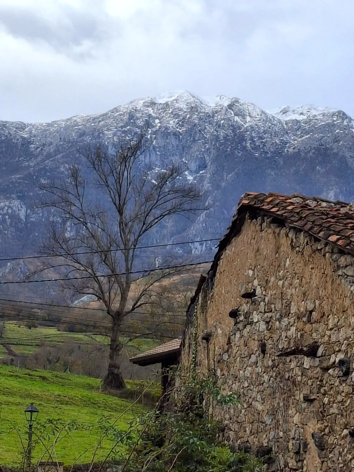 Barrio de Río con los Picos de Europa nevados