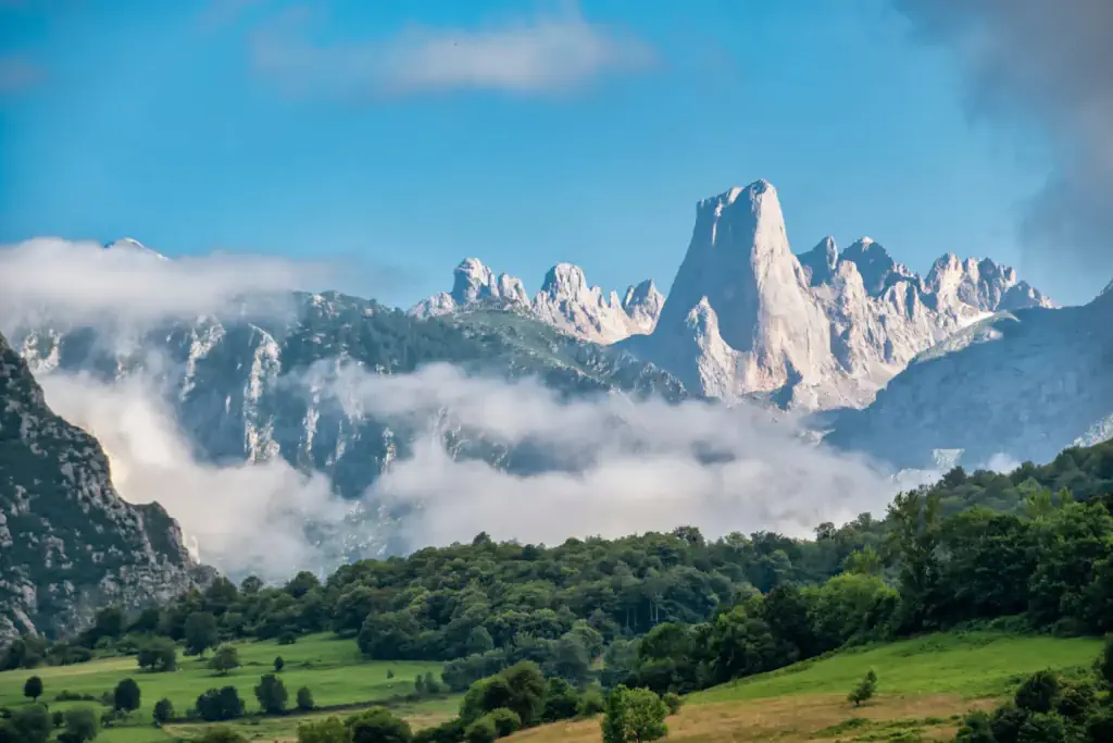The spires of the Picos de Europa among the clouds, with meadows and woodland in the foreground