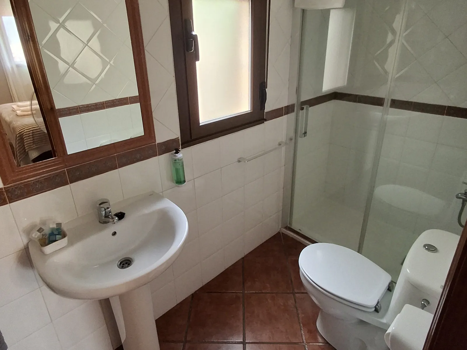 Bathroom in the Ribeles apartment, with shower, washbasin and window